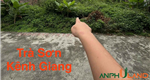 Chào bán lô đất 63 m2 tại Phường Lưu Kiếm ( xã Kênh Giang), TP Hải Phòng
