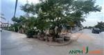 Cần bán lô góc biệt thự 190 m2 tại Phường Thủy Nguyên ( xã Thủy Sơn), TP Hải Phòng
