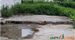Bán lô đất đẹp giá siêu rẻ phường Thiên Hương, TP Hải Phòng