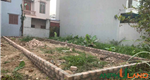 Cần bán hàng hiếm tại phân lô Đầm Tràng, Phường Thủy Nguyên (xã Tân Dương), TP Hải Phòng