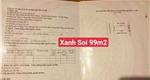 Cần bán lô đất vị trí siêu đẹp TDP Xanh Soi, Phường Thủy Nguyên ( xã Thủy Đường), TP Hải Phòng