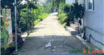 Chủ cần tiền bán gấp 2 lô đất F0 hàng có bìa sẵn tại Phường Thủy Nguyên ( xã Hoa Động)