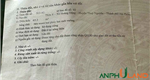 Cần bán tuyến 2 trục đường thông tại Phường Thiên Hương ( xã Hoàng Động), TP Hải Phòng 