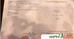 Chính chủ gửi bán lô đất TDP 5, Phường Thiên Hương ( xã Hoàng Động), TP Hải Phòng