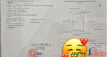 Cần bán hàng khủng tại Phường Thiên Hương ( xã Lâm Động), TP Hải Phòng