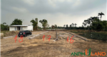 Duy nhất 1 lô mặt đường đi đò Lâm, phường Thiên Hương, TP Hải Phòng