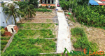 Chào bán lô đất hàng hiếm phường Thuỷ Nguyên (Hoa Động), TP Hải Phòng
