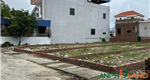 Chào bán lô đất 105m2 tại phường Thuỷ Nguyên (Dương Quan), TP Hải Phòng 