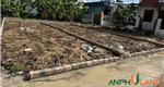 Mở bán 4 lô f0 đẹp, trung tâm phường Thủy Nguyên ( xã Hoa Động), TP Hải Phòng