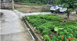 Tài chính hơn 1 tỷ 1xx tìm đâu ra lô đất 72,5m2 tại trung tâm phường Hoà Bình, TP Hải Phòng