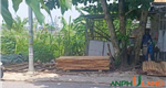 Chính chủ gửi bán lô đất mặt đường 203 phường Thiên Hương (Lâm Động), TP Hải Phòng