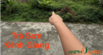 Cần bán lô đất đẹp tại TDP Trà Sơn, Phường Lưu Kiếm ( xã Kênh Giang), TP Hải Phòng