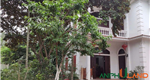 Bán đất tặng nhà biệt thự sân vườn siêu đẹp tại phường Thuỷ Nguyên (Tân Dương), TP Hải Phòng