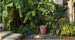 Chính chủ gửi bán lô đất đẹp phường Thuỷ Nguyên (Hoa Động), TP Hải Phòng