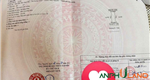 Chào bán lô 84 LK 05 tái định cư Áp Tràn, Phường Thủy Nguyên ( xã Dương Quan), TP Hải Phòng