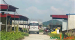 Chính chủ cần nhờ bán gấp lô đất đẹp ngay trung tâm Phường Thủy Nguyên, TP Hải Phòng