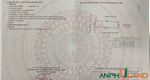 Chính chủ gửi bán lô đất trục đường TDP Đông, Phường Thiên Hương ( xã Lâm Động), TP Hải Phòng
