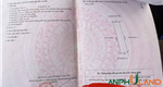 Hàng cực Hiếm tại TDP Đường Đá, Phường Thủy Nguyên ( xã Hoa Động), TP Hải Phòng