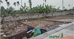 Cần bán lô đất 48m2 giá đầu tư F0 tại Phường Thủy Nguyên (xã Hoa Động), TP Hải Phòng