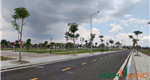 Bán lô đất hàng hiếm view công viên khu đấu giá An Lư, phường Hoà Bình, TP Hải Phòng