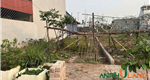 Bán lô đất 100m² khu Khau Da, phường Thuỷ Nguyên, TP Hải Phòng