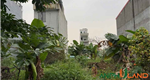  Bán lô đất TĐC khu A, Bắc Sông Cấm, Phường Thủy Nguyên (xã Dương Quan), TP Hải Phòng