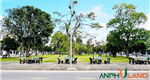 Chủ cần bán nhanh lô đất tại KĐT Xanh Quang Minh, Phường Thủy Nguyên, TP Hải Phòng