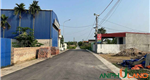 Chào bán lô đất kinh doanh buôn bán tại Phường Bạch Đằng (xã Ngũ Lão), TP Hải Phòng