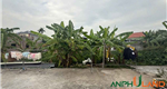 Cần bán lô đất TDP 6, Phường Thiên Hương (xã Hoàng Động), TP Hải Phòng