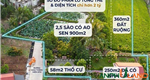 Bán hệ sinh thái hơn 1500 m2 nhà vườn ao ruộng cực hiếm ngay giữa trung tâm P. Thiên Hương 