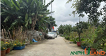 Bán lô đất 70,8m² tại TDP Đồng Quán, phường Thuỷ Nguyên (Hoa Động), TP Hải Phòng