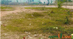 Chuyển nhượng lô đất đẹp tại phường Bạch Đằng (xã Minh Đức), TP Hải Phòng