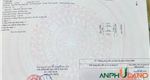 Bán đất TĐC Bắc Sông Cấm tại Phường Thủy Nguyên (xã Dương Quan), TP Hải Phòng