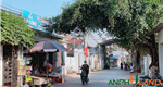 Hàng hiếm mặt đường TDP 6, Phường Thiên Hương ( xã Tân Dương), TP Hải Phòng