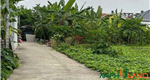 Chủ gửi bán lô đất đẹp tại Phường Thiên Hương (xã Lâm Động), TP Hải Phòng