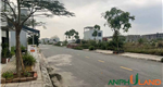 Chuyển nhượng 60m2 TĐC Phường Thủy Nguyên (xã Hoa Động), TP Hải Phòng