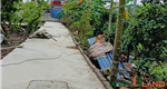 Chỉ hơn 1 tỷ có ngay lô đất tại phường Thuỷ Nguyên (Hoa Động), TP Hải Phòng