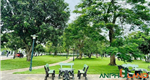  Chính chủ gửi bán lô 15LK05 tại KĐT Quang Minh, phường Thuỷ Nguyên, TP Hải Phòng