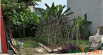 Bán lô đất 52m² tại TDP Thuỷ Sơn 2, phường Thuỷ Nguyên, TP Hải Phòng