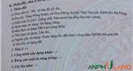 Chủ cần tiền cắt lỗ, cơ hội mua đất đẹp tại phường Thủy Nguyên (xã Hoa Động), TP Hải Phòng