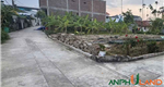 Cần bán lô đất đẹp 52.7 m2 tại TDP Lâu Trại, Phường Thủy Nguyên (xã Hoa Động), TP Hải Phòng