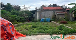 Bán lô đất đẹp tại phường Thuỷ nguyên (Hoa Động), TP Hải Phòng
