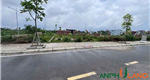 Bán cặp song sinh đấu giá đẹp long lanh tại TDP Bái Trong, phường Thuỷ Nguyên ( xã Hoa Động)