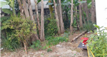 Bán lô đất đẹp giá rẻ tại phường Thuỷ Nguyên (Thuỷ Đường), TP Hải Phòng